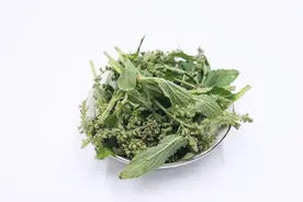 一味奇妙的中药，抗炎抗菌抗病毒，专治痔疮、带状疱疹、皮肤瘙痒图片