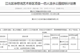 重庆最新城市更新计划，这三大片区已率先启动图片