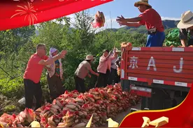 非凡十年 • 钢铁瞬间（脱贫攻坚篇）图片