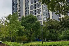 大便不成形长期泄泻能一招效吗图片
