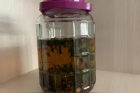 酒米泡制时间越久越好用？并不是这样，时间久了反而效果会变差图片