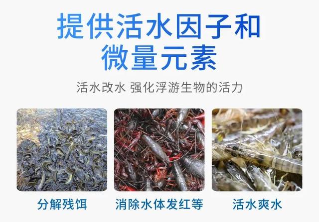 解毒活水神器：激活解毒灵，中性解毒，温和不伤水，无任何刺激