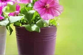 【别人用你的手机网贷后结果会怎样？且看小明的遭遇（续）】图片