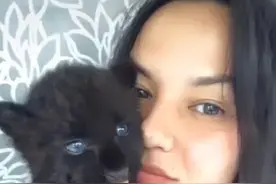 战斗民族从不让人失望！小姐姐把黑豹当猫养，网友：它用猫砂盆吗图片