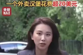 一个外卖汉堡超过20美元？央视美女记者陈茜被质疑造假，本人回应图片