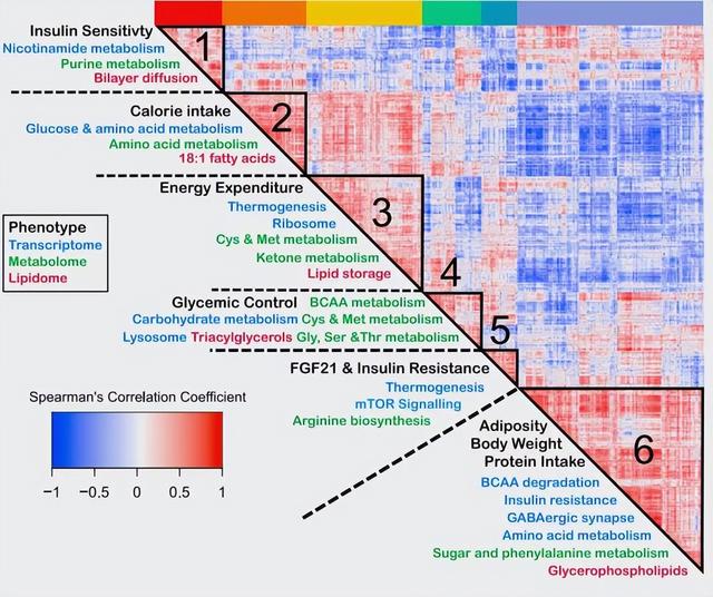 鏀摼姘ㄥ熀閰镐綔涓鸿€佸勾钀ュ吇鍏抽敭鍏辫瘑锛岀珶琚編涓撳鍚﹀畾锛熻惀鍏诲笀鏉ヨВ璇? onerror=