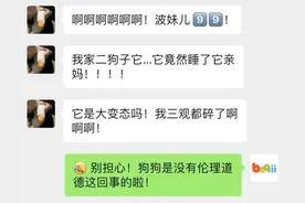 救命呀！我家狗子是大禽兽！它…它竟然睡了它亲妈…...图片