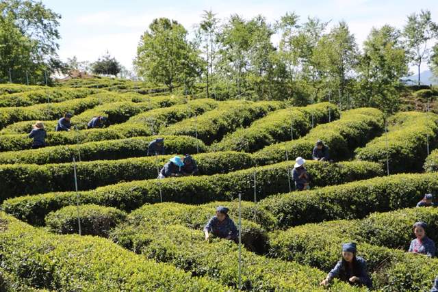 四川省民生研究会新媒体中心-官网
