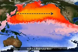 日本核废水排放到全球，又不是排到人体里，对人影响小于吃香蕉？图片