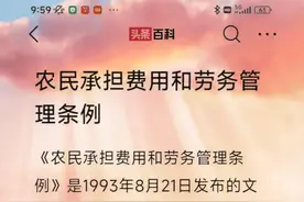 农村“三提五统”缴费的本质是什么？图片
