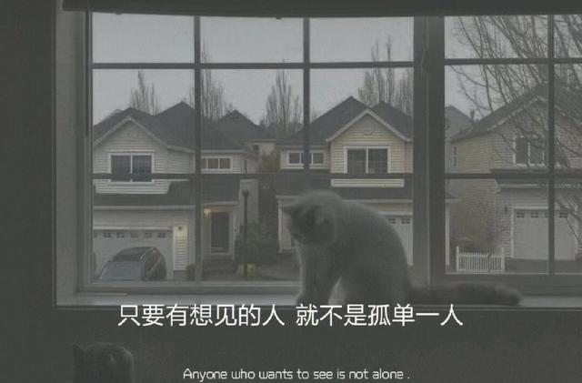 ĵȦİ