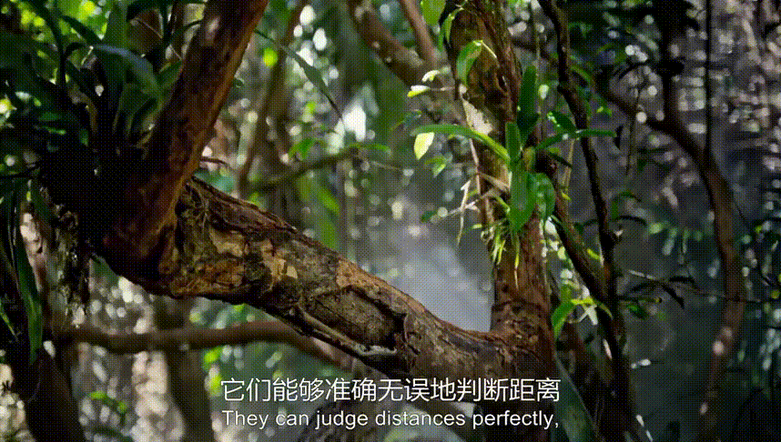 暑期强烈推荐！5部高分纪录片，知识点满满，一定要带孩子看