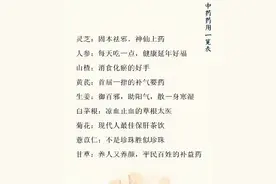 老中医：60种中药药性一览表，非常实用，建议收藏图片