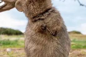 一个人的名字是否与命运息息相关？那些和明星同名的人都怎么样了图片