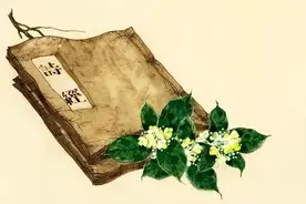 浅析"诗经"中的教育观念及其对古代教育的启示图片