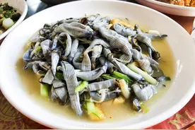 滋补又特别的美食，一般人不敢吃，湛江人喜爱，外地人恐惧：沙虫图片