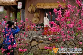 青秀山万紫千红，赏花季花开如潮图片