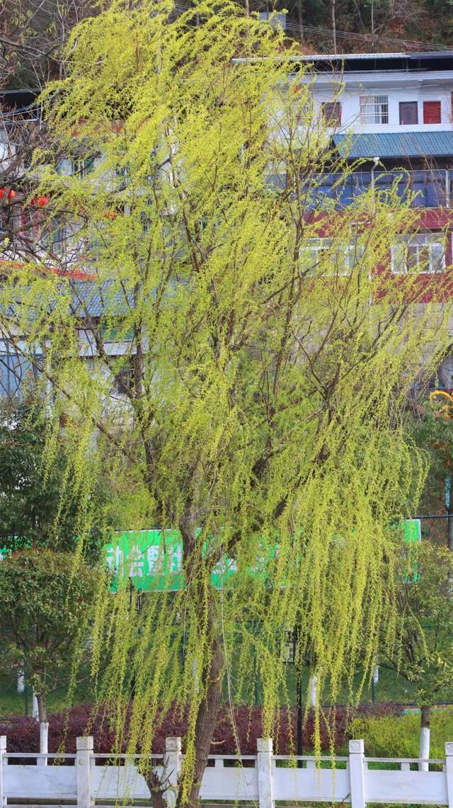 四川省民生研究会新媒体中心-官网