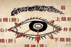 人之精华藏于目，脏腑精血足不足，看眼就知道，中医教你看眼识病图片