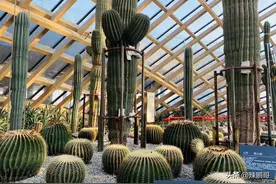 15个“别”字开头的成语图片