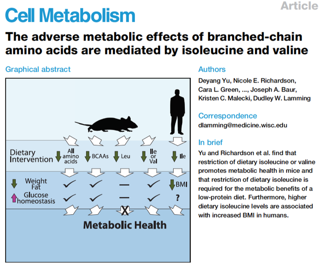 鏀摼姘ㄥ熀閰镐綔涓鸿€佸勾钀ュ吇鍏抽敭鍏辫瘑锛岀珶琚編涓撳鍚﹀畾锛熻惀鍏诲笀鏉ヨВ璇? onerror=