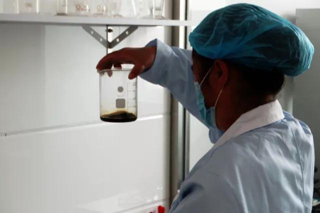 福建4款顶级酱油，经鉴定，由100%非转基因纯豆精制，有你家乡吗