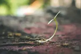 总结女儿2021年大学毕业后找工作的失误并郑重提醒图片