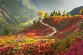 为什么今年感觉各个行业都不景气，告诉你原因图片