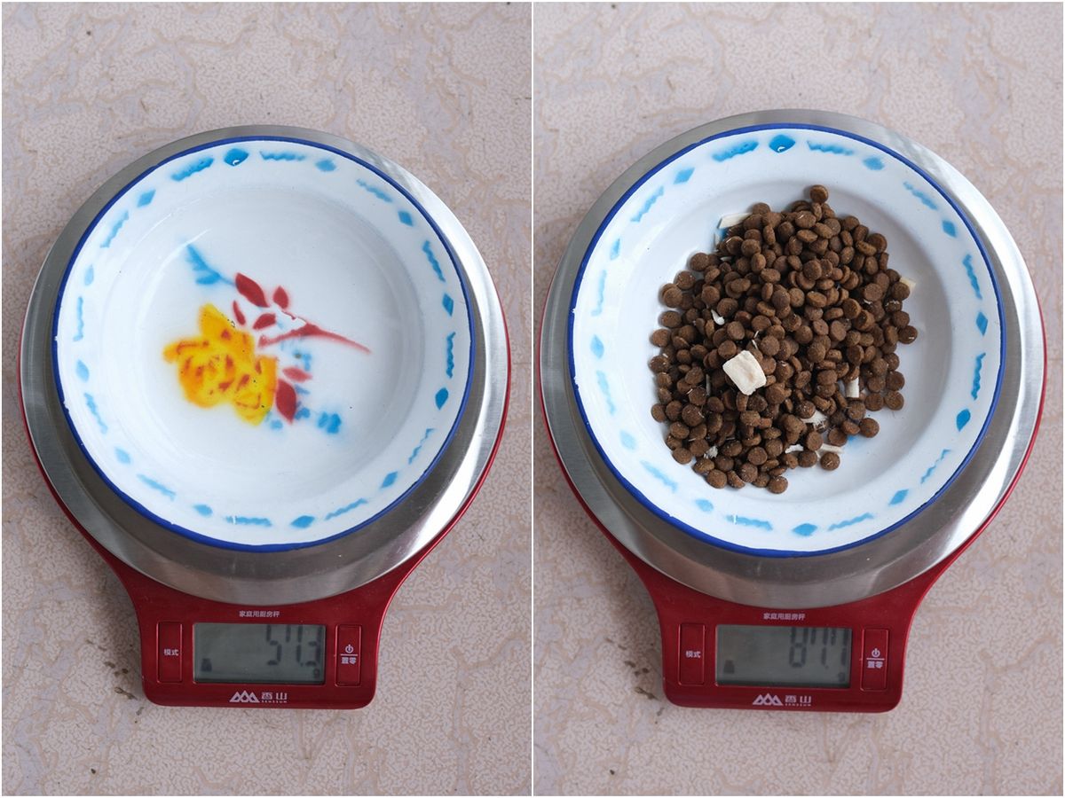 远程视频,科学投喂,宠咕咕宠物智能喂食器初体验