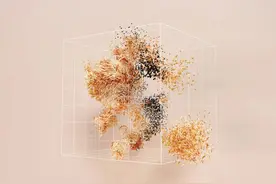 探索智能纪元：大模型的起源、现状与未来图片