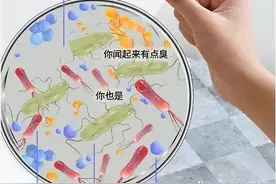 公共厕所里的这两样东西，一个都别用图片