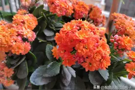 当老师的感觉图片