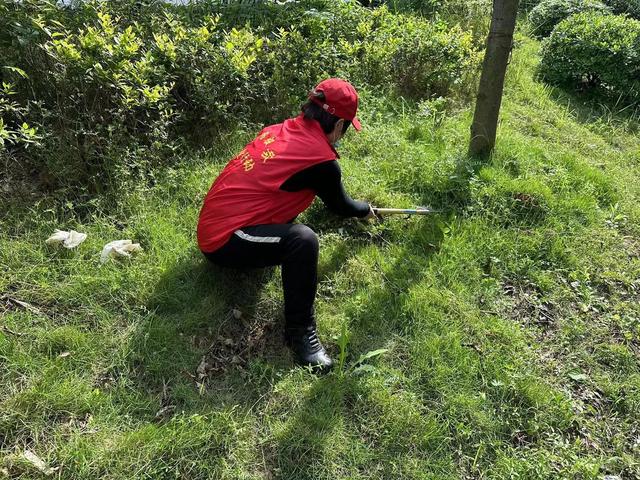 东湖新技术开发区豹澥街分类专班黄金堂社区开展清洁家园活动