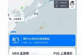 丫丫回国！网友纷纷“云接机”图片