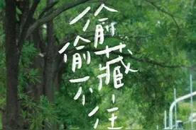 偷偷藏不住全员杀青并官宣全阵容图片