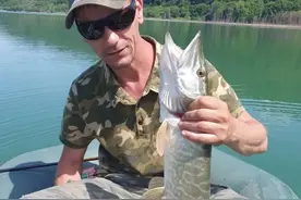 来罗马尼亚吃鱼吧！你见过这么多这么肥的野生鱼吗图片