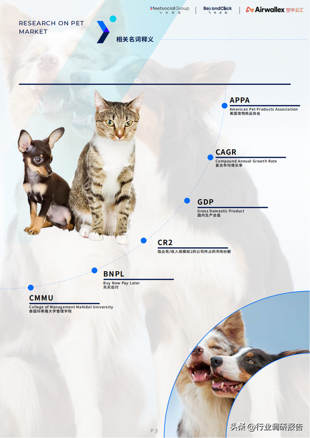 ȫ������г���Ƥ�飨15��������7���ص�������Ƽ������߷�����