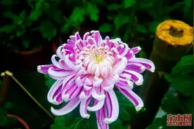 2022年高考加油祝福语和鼓励打气的话 祝高考顺利成功的简短句子图片