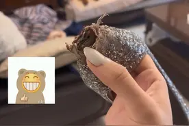 狗异常乖巧女子觉得不对，低头一看客厅血压升高：这谁顶得住呀？图片