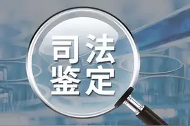 司法鉴定需要哪些材料？图片