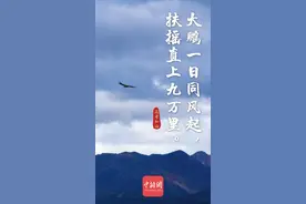 又是一年高考季，录6句古诗词，祝所有考生：金榜题名，鹏程万里图片