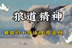 狼道中最狠的十句话，（醍醐灌顶）图片