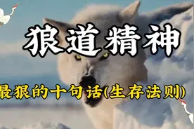 狼道中最狠的十句话，（醍醐灌顶）图片