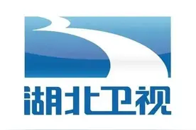 湖北台这几个台标，你都见过吗？你更喜欢哪一个？图片