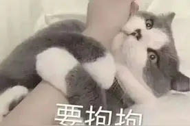 撒娇表情包丨抱抱我好吗？图片