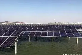 养殖量是普通鱼塘的十倍！“渔光互补”实现“渔、电、环保”三丰收图片