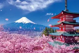 樱花，了解一下！图片