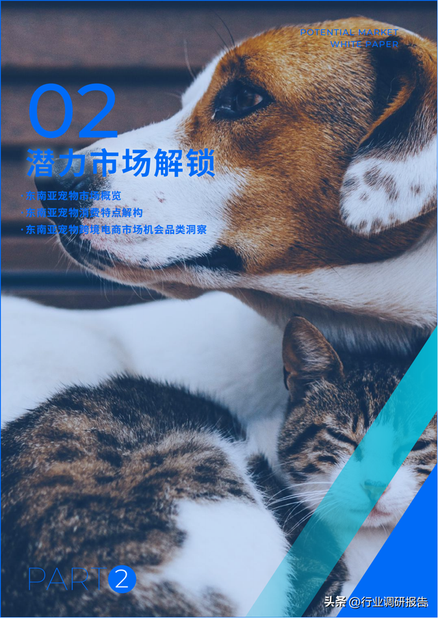 ȫ������г���Ƥ�飨15��������7���ص�������Ƽ������߷�����