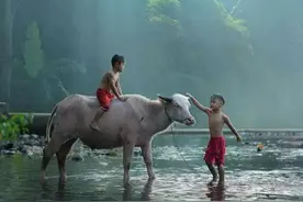 石牛、金马儿，还有奇怪的螃蟹，带你走进老家那些曾经发生的事图片