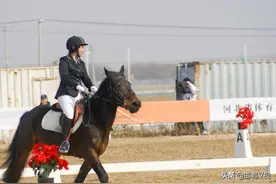 省运进行时 | 马术项目开赛在即图片